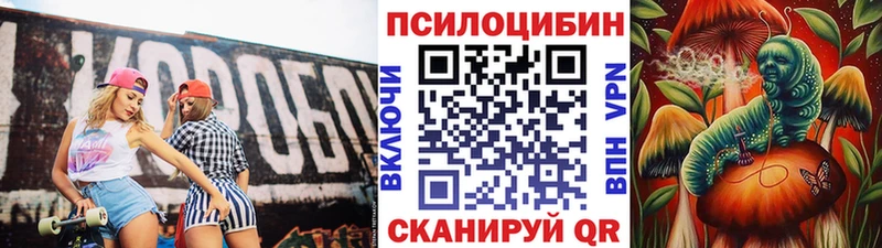 блэк спрут ТОР  дарк нет какой сайт  Галлюциногенные грибы Psilocybe  Куса 