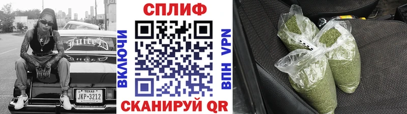 блэк спрут вход Куса Бошки Шишки конопля